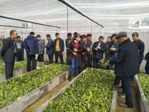 日照 揭榜制 評選建立8家市級農業科技創新中心