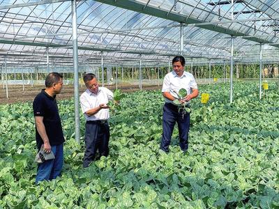 田間地頭送科技解難題 &ldquo;不老松&rdquo;助力鄉村振興