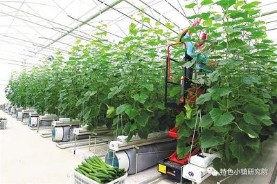 【新業態】休閑農業、互聯網+農業、智慧農業&hellip;