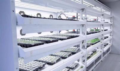 我在農(nóng)創(chuàng)等你來丨宋娜:雙向奔赴謀發(fā)展,同頻共振向未來