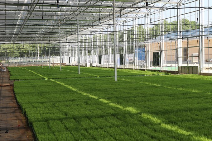 【大國&ldquo;糧&rdquo;策】南京高淳:打造&ldquo;金扁擔(dān)&rdquo;助力農(nóng)業(yè)現(xiàn)代化高質(zhì)量發(fā)展