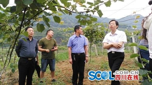 因地制宜因戶施策 農(nóng)業(yè)科技服務(wù)為脫貧奔康提供一把金鑰匙