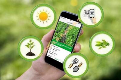 加快數(shù)字化發(fā)展的四個維度