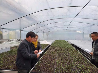 崇仁縣人民政府 工作動態(tài) 心系民生送關懷 科技溫情暖人心--崇仁科技特派員深入一線指導農作物防寒防凍工作