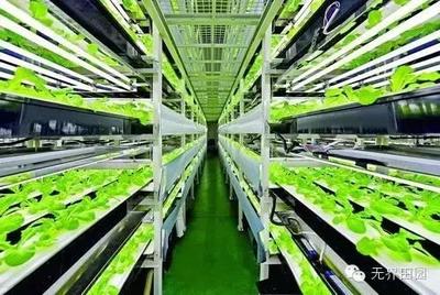 目測這個農業項目要火,日本臺灣的科技巨頭都看好!