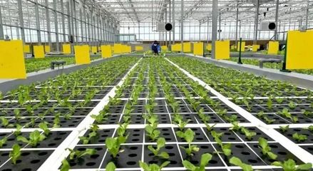 【農業科技】新一代智慧農業技術應用展望