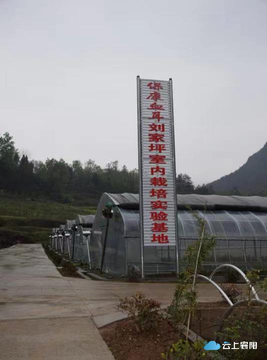 全省唯一 襄陽(yáng)首個(gè)