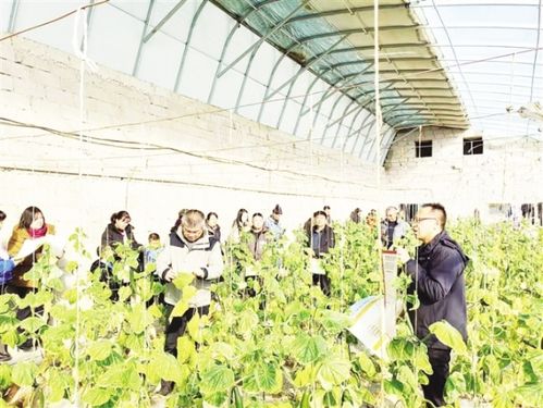 瓜州 農(nóng)業(yè)技術(shù)培訓(xùn)忙