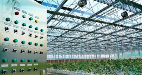 吐魯番數字設施農業(yè)建造聯(lián)系方式