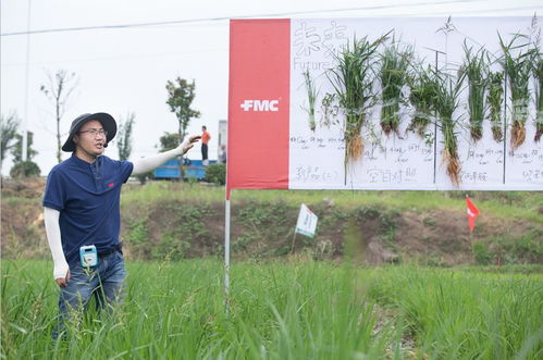 創(chuàng)新富美實,震撼星博會