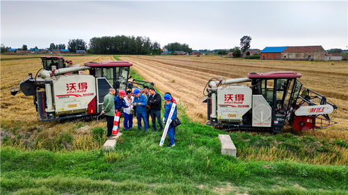 國網滁州供電公司 奮戰(zhàn) 三夏 保障定遠138萬畝小麥顆粒歸倉
