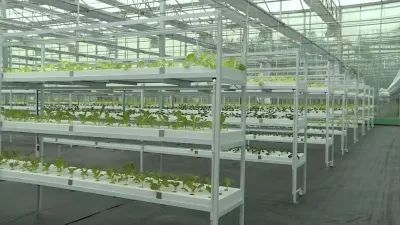 全省綠色蔬菜產(chǎn)業(yè)高質(zhì)量發(fā)展現(xiàn)場(chǎng)推進(jìn)會(huì)在響水召開(kāi)!附評(píng)論.