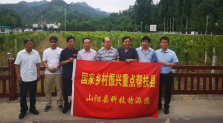 動(dòng)態(tài)新聞