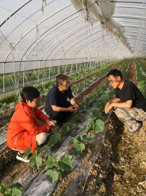 拔尖人才農業服務團精準服務深度貧困村