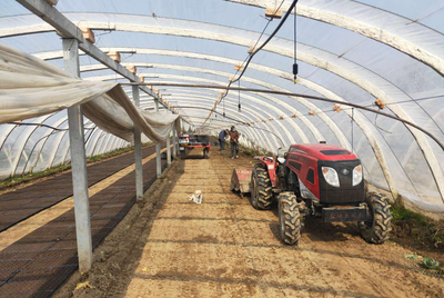 銅山區(qū)黃集鎮(zhèn)政協聯絡組在行動