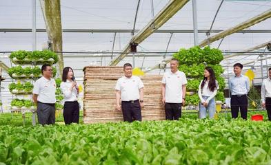 服務三農 助力鄉(xiāng)村振興 河南日報社南陽分社黨支部聯合內鄉(xiāng)縣中以高效農業(yè)科技開發(fā)黨支部開展主題黨日活動