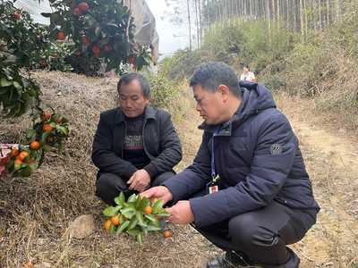 永?？h:迎春雨備春耕促春管