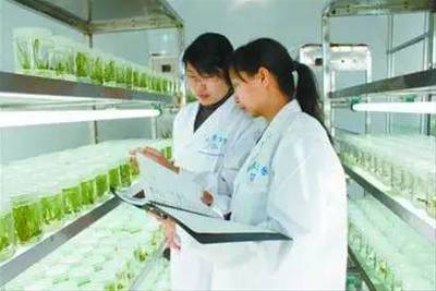 干貨!互聯(lián)網(wǎng)+農(nóng)業(yè)的10大好處