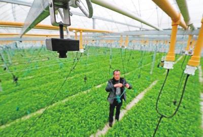 農(nóng)業(yè)科技報-內(nèi)容詳細(xì)