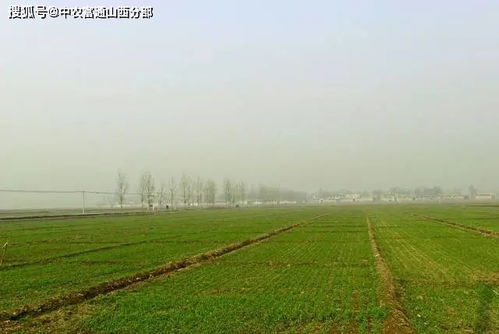 有一種中國美,叫做鄉村