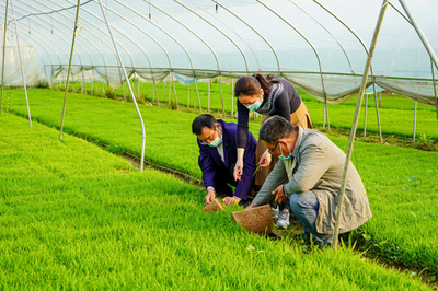 宿松先鋒網 農業科技服務助推鄉村振興